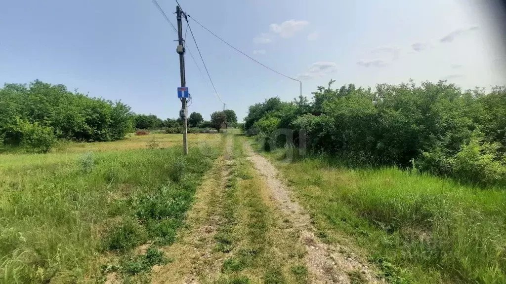 Участок в Белгородская область, Белгородский район, Никольское с/пос, ... - Фото 1