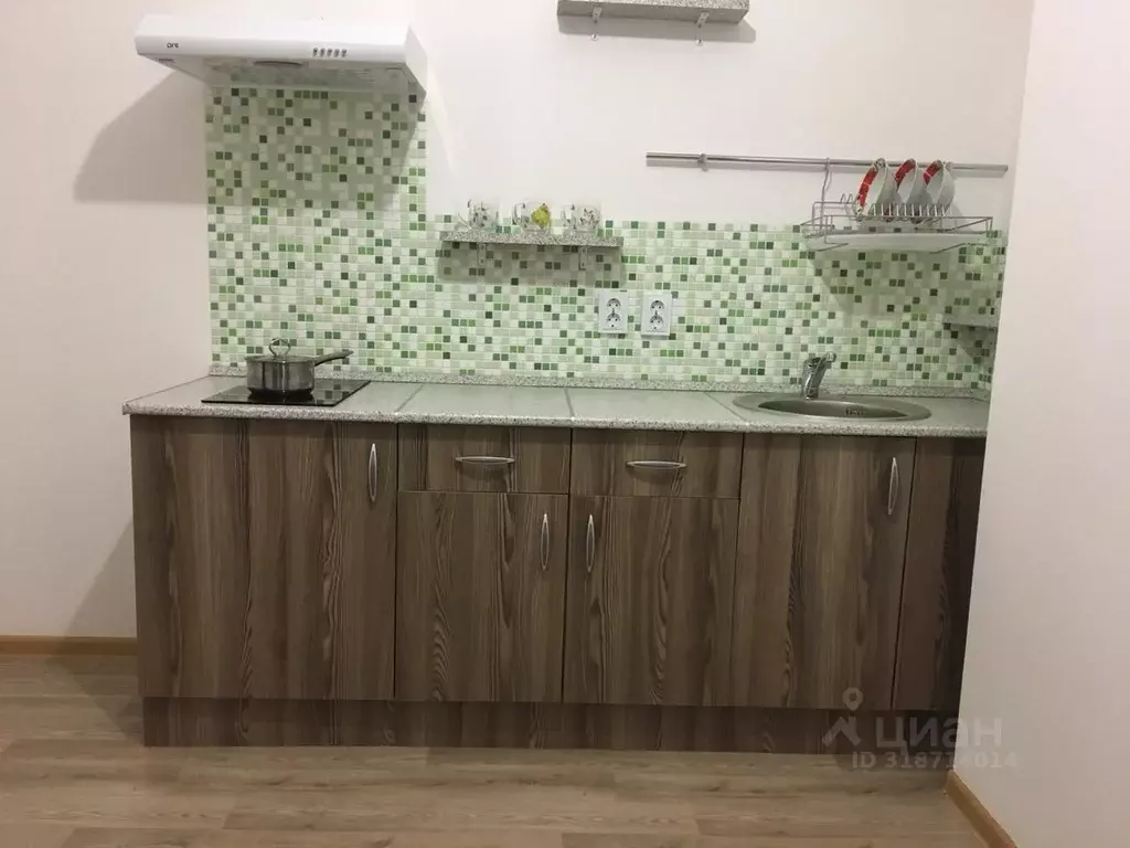 1-к кв. Санкт-Петербург дор. Муринская, 14к3 (35.9 м) - Фото 0