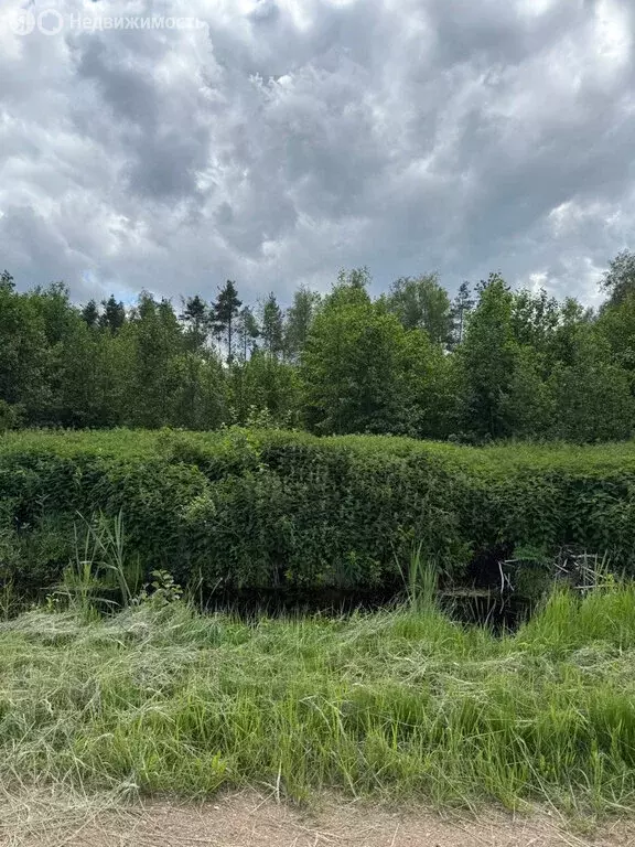 Участок в Валдай, Лесхозная улица (15 м) - Фото 0