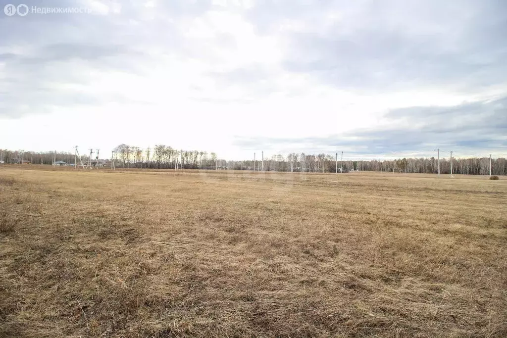 Участок в Фирсово, микрорайон Полесье (10.7 м) - Фото 2