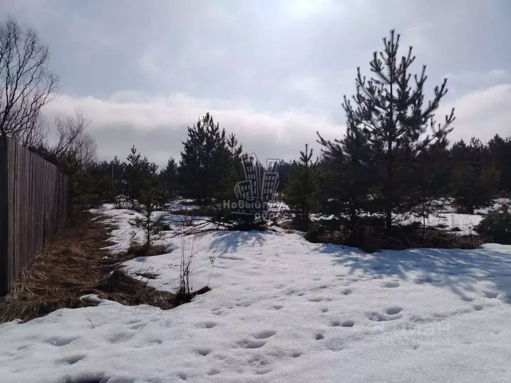 Участок в Воронежская область, Верхнехавский район, Углянское с/пос, ... - Фото 2