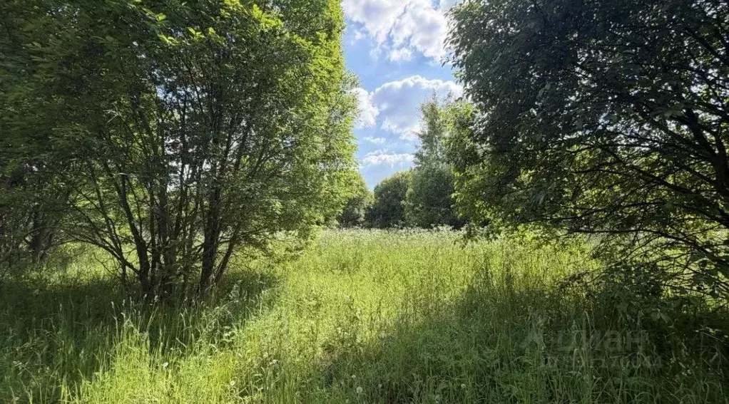 Участок в Московская область, Серпухов городской округ, д. Петровское  ... - Фото 1