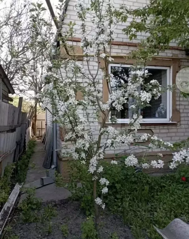 Дом в Белгородская область, Белгород ул. Комарова, 32 (100 м) - Фото 2