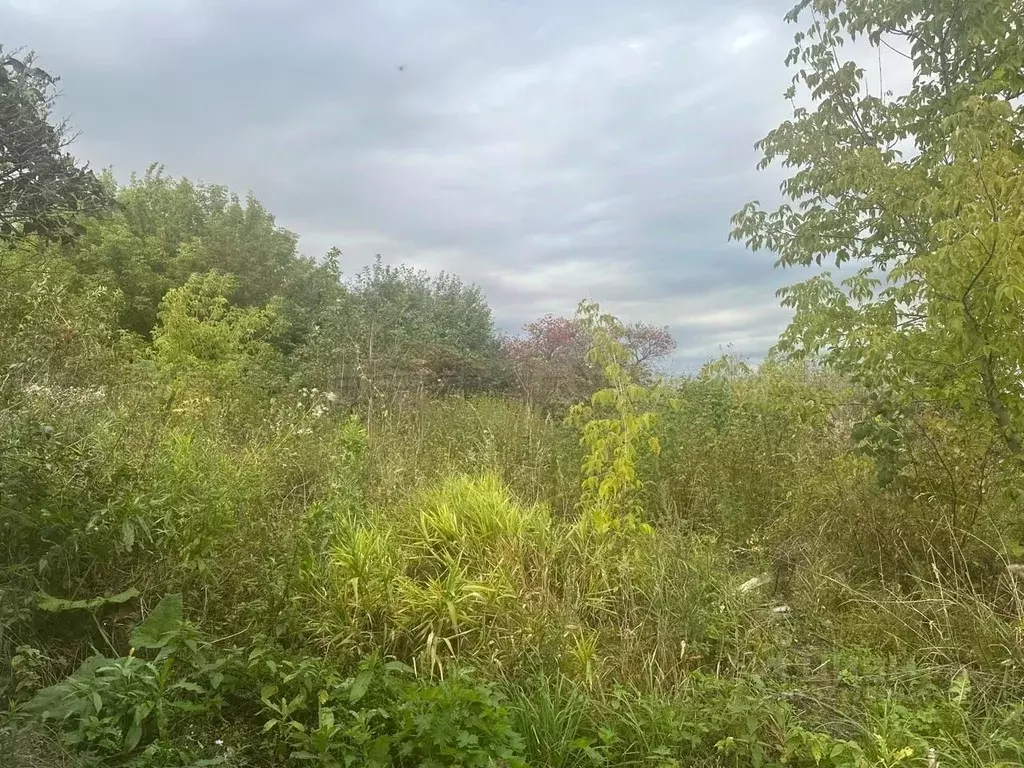 Участок в Татарстан, Пестречинский район, с. Ленино-Кокушкино Новая ... - Фото 1