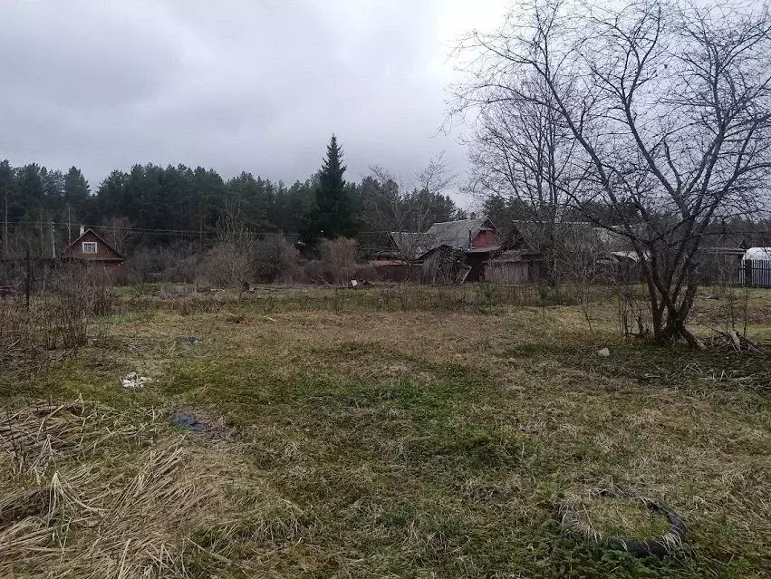 Участок в Ленинградская область, Лужский район, Толмачево городской ... - Фото 0