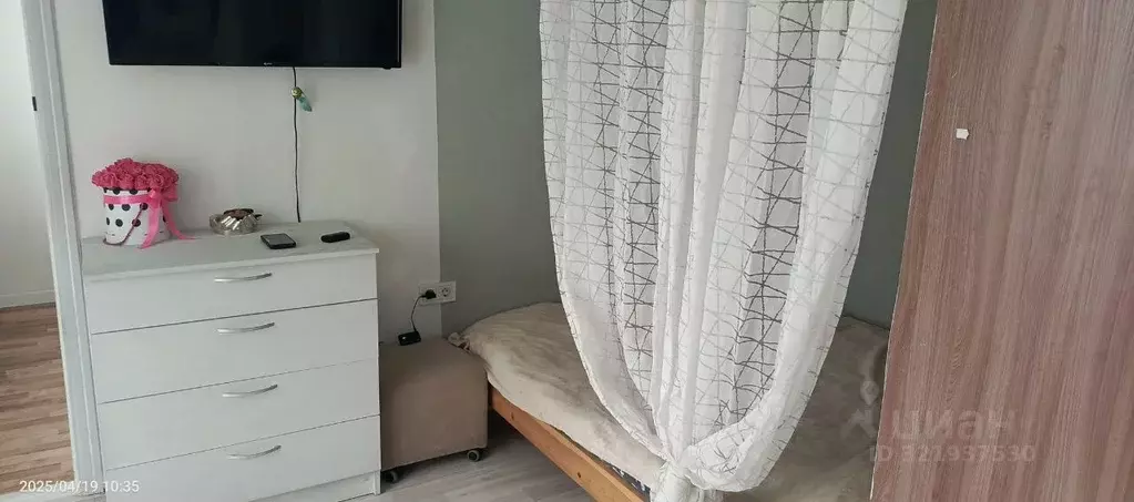 Студия Калининградская область, Калининград ул. Александра Невского, ... - Фото 1