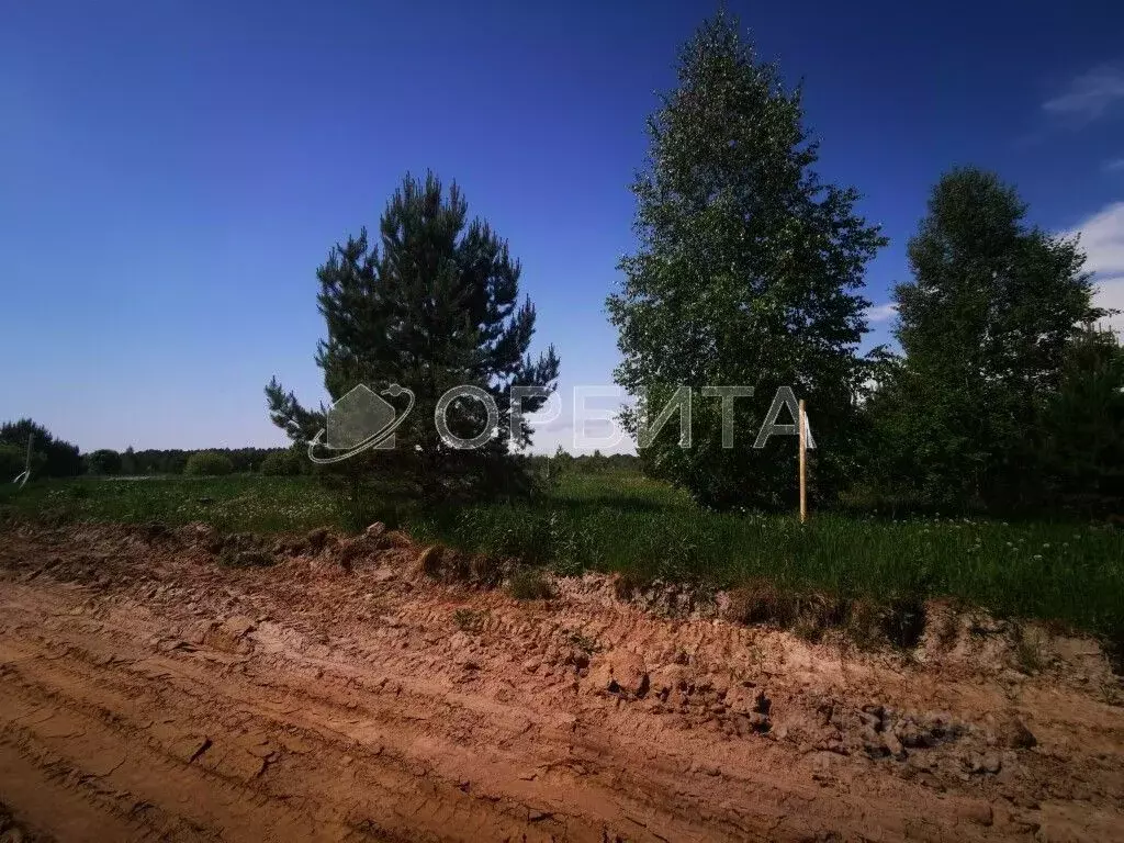 Участок в Тюменская область, Тюменский район, с. Каменка  (10.0 сот.) - Фото 0