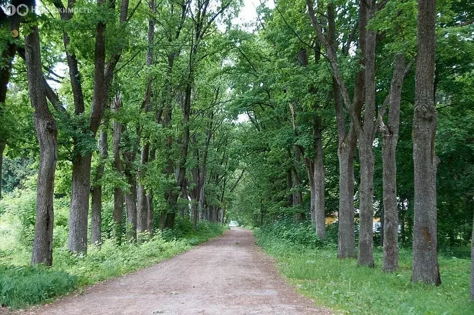 Участок в посёлок Дружноселье, улица Протасовка (15 м) - Фото 2