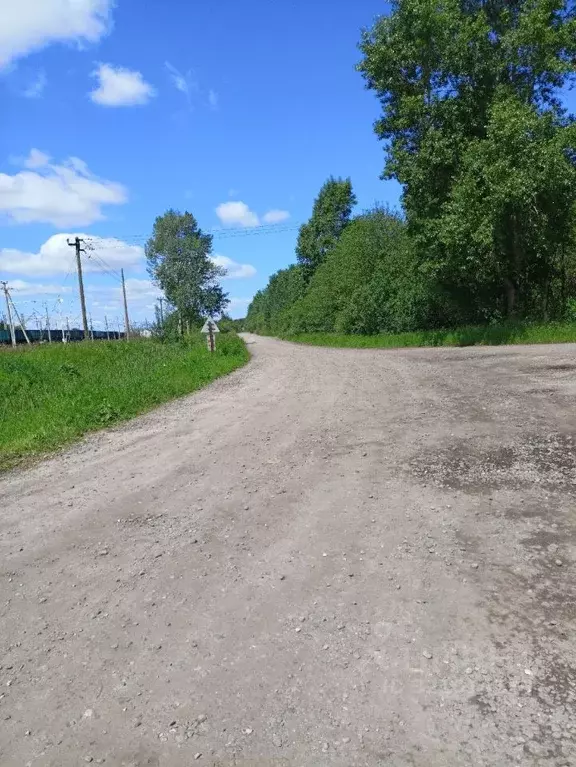 Участок в Вологодская область, Торфяник-2 садоводческое товарищество  ... - Фото 2