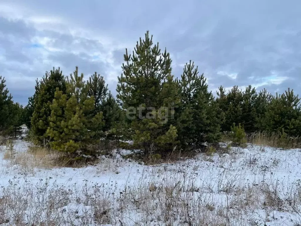 Участок в Свердловская область, Екатеринбург муниципальное ... - Фото 1