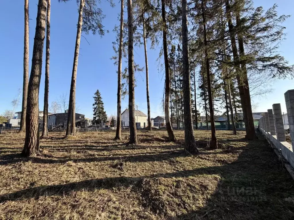Участок в Московская область, Пушкинский городской округ, д. Костино, ... - Фото 1
