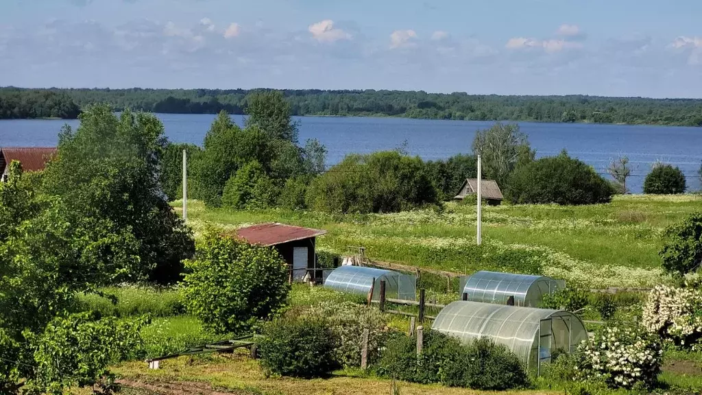 Дом в Тверская область, Осташковский городской округ, д. Поребрица  ... - Фото 1