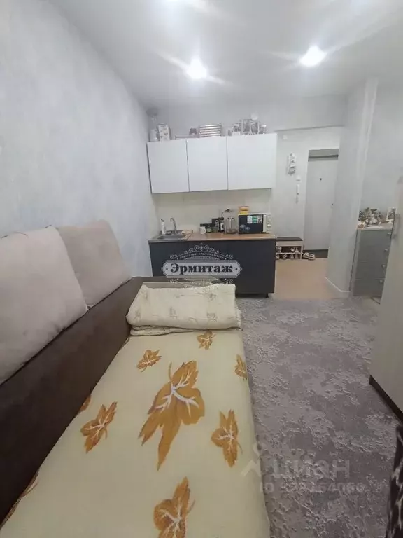 2-к кв. Курганская область, Курган Чернореченская ул., 91А (22.0 м) - Фото 1