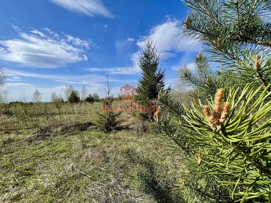 Участок в Владимирская область, Александровский муниципальный округ, ... - Фото 1