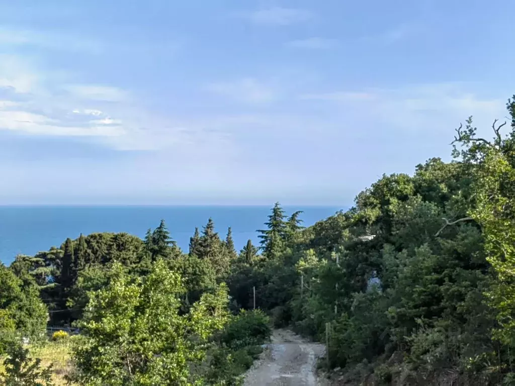Участок в Крым, Ялта муниципальный округ, Кореиз пгт ш. Кореизское ... - Фото 2