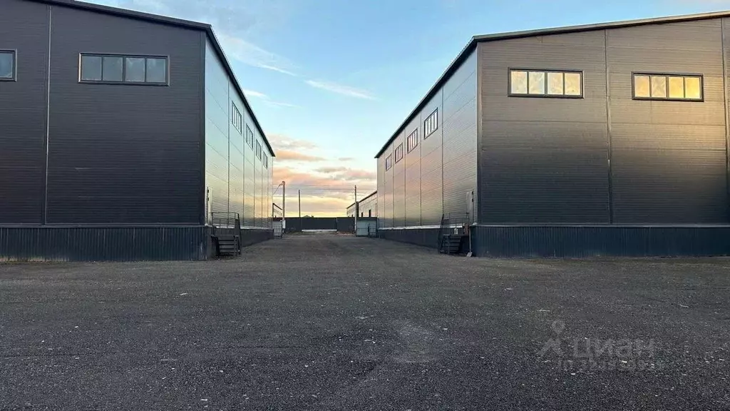 Склад в Московская область, Домодедово Барыбино мкр,  (5500 м) - Фото 1