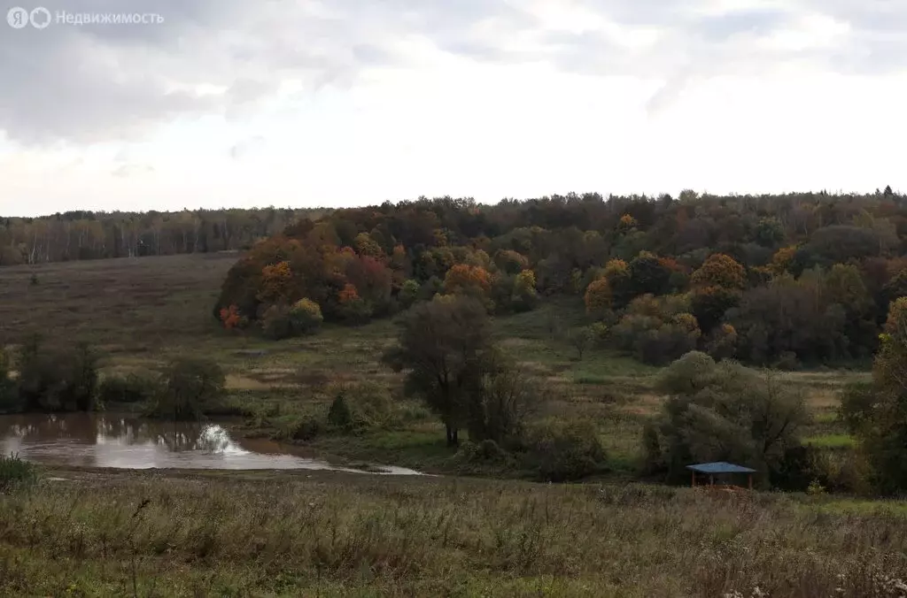 Участок в Московская область, городской округ Ступино, село Каменка ... - Фото 1