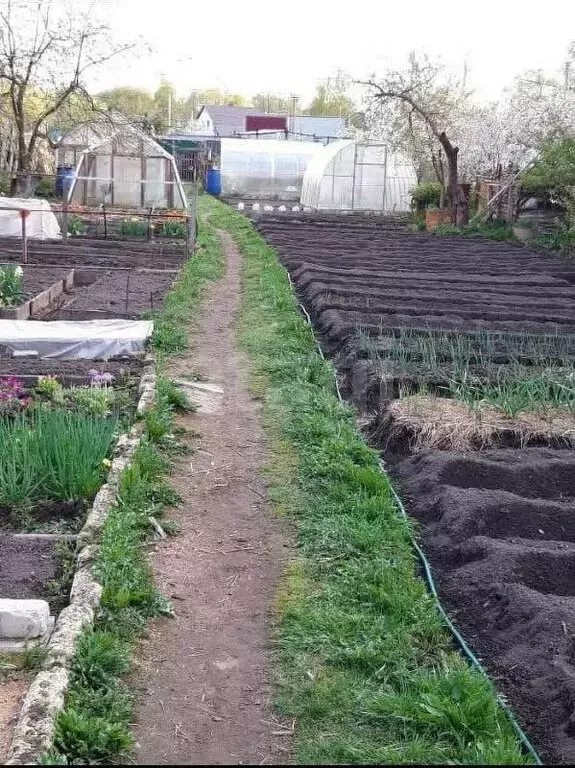 Участок в Ярославская область, Рыбинский муниципальный округ, село ... - Фото 0