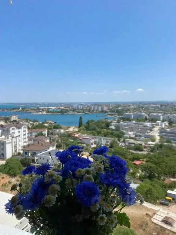 1-к кв. Севастополь ул. Парковая, 14Б (49.0 м) - Фото 1
