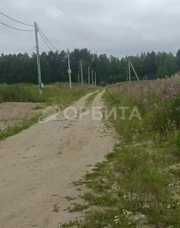 Участок в Тюменская область, Тюменский муниципальный округ, с. Каменка ... - Фото 1
