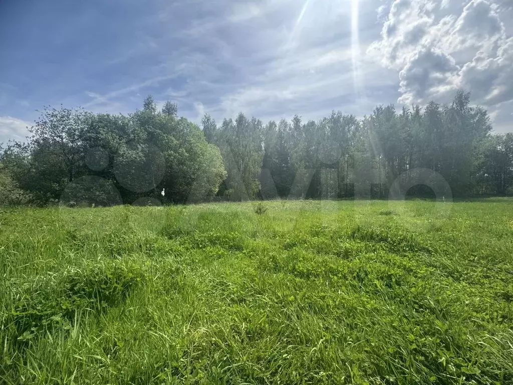 Участок 12 сот. (СНТ, ДНП) - Фото 0