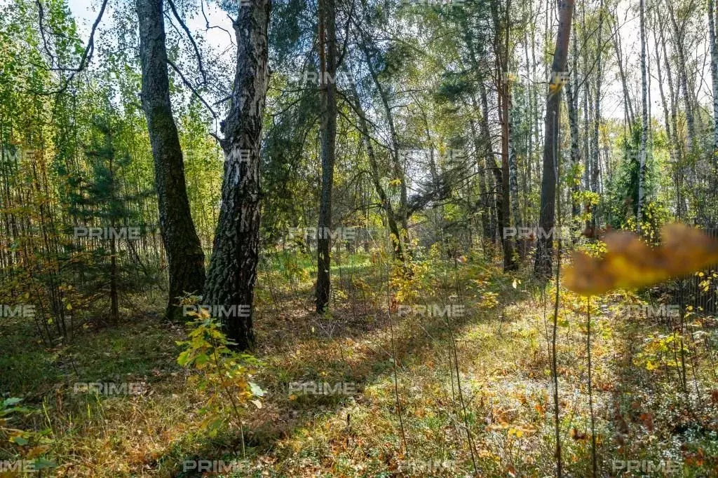 Участок в Московская область, Одинцовский городской округ, с. ... - Фото 1