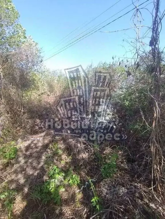 Участок в Воронежская область, Воронеж Садовод ВАСО СНТ,  (6.0 сот.) - Фото 1