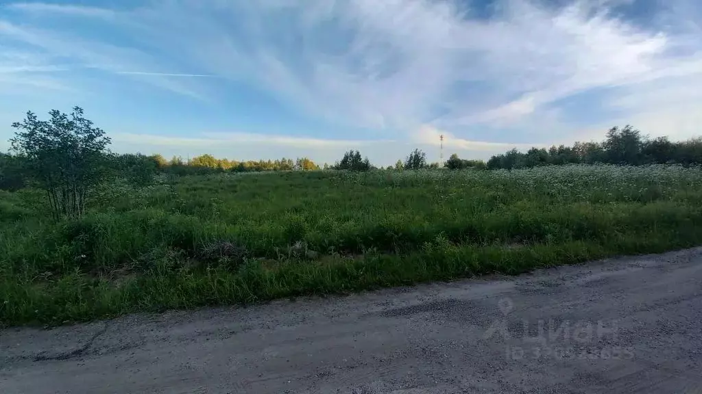 Участок в Владимирская область, Владимир д. Шепелево,  (336.0 сот.) - Фото 0