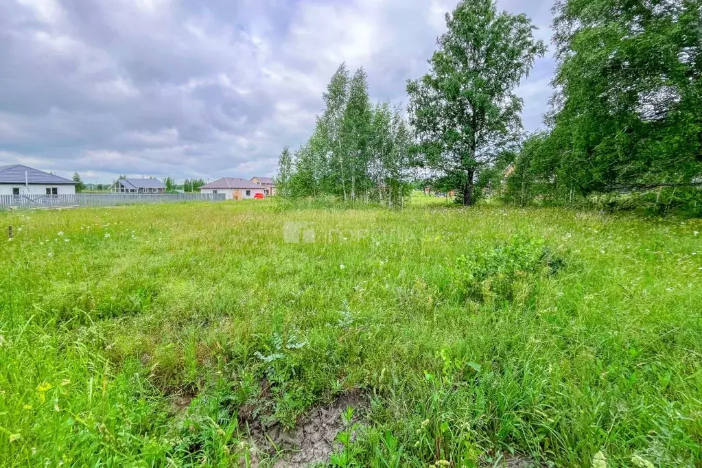 Участок в Новосибирская область, Новосибирский район, Криводановский ... - Фото 1