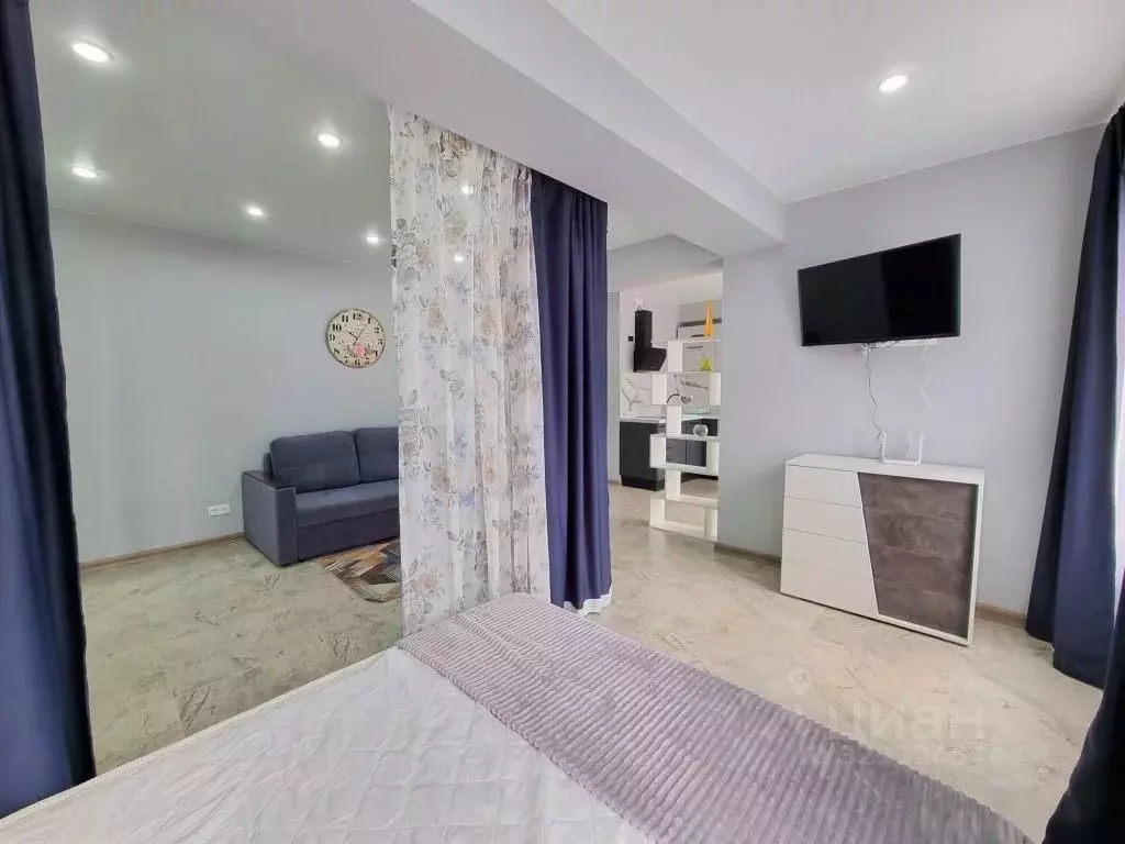 1-к кв. Краснодарский край, Сочи городской округ, Дагомыс пгт ул. ... - Фото 2