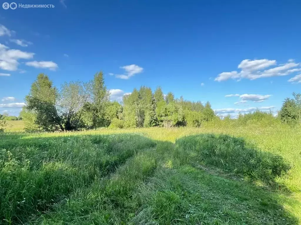 Участок в Ярославский муниципальный округ, деревня Худково (27.5 м) - Фото 1