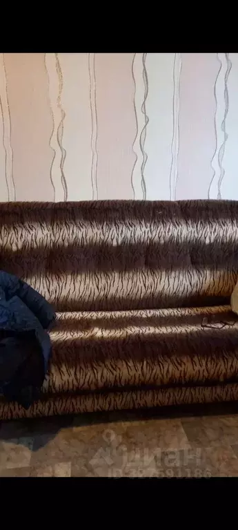 1-к кв. Саратовская область, Саратов Омская ул., 1а (24.0 м) - Фото 1