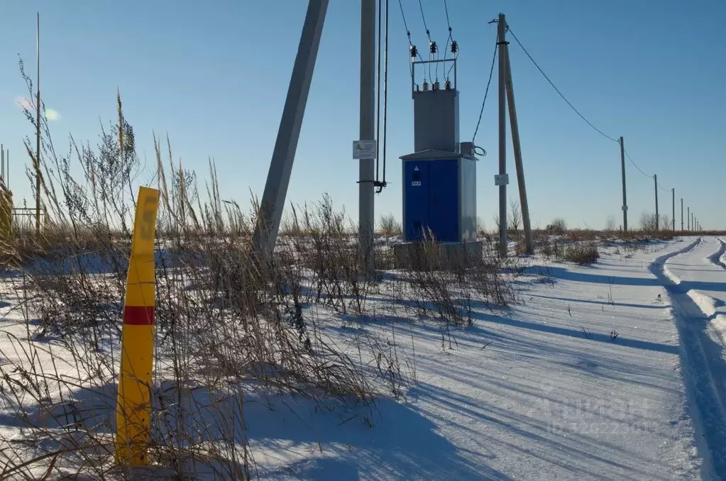 Участок в Пензенская область, с. Бессоновка ул. Озерная (14.29 сот.) - Фото 2