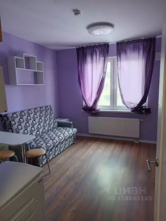 Студия Санкт-Петербург дор. Муринская, 31к2 (19.7 м) - Фото 0