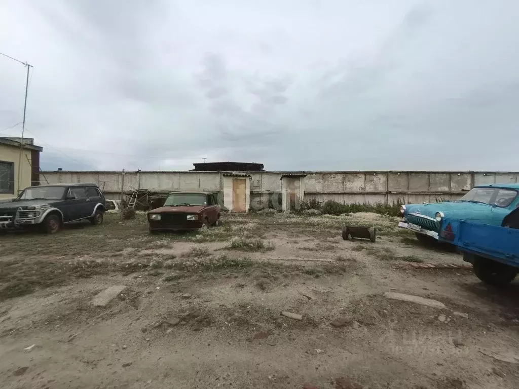 Помещение свободного назначения в Омская область, Таврическое рп ул. ... - Фото 1