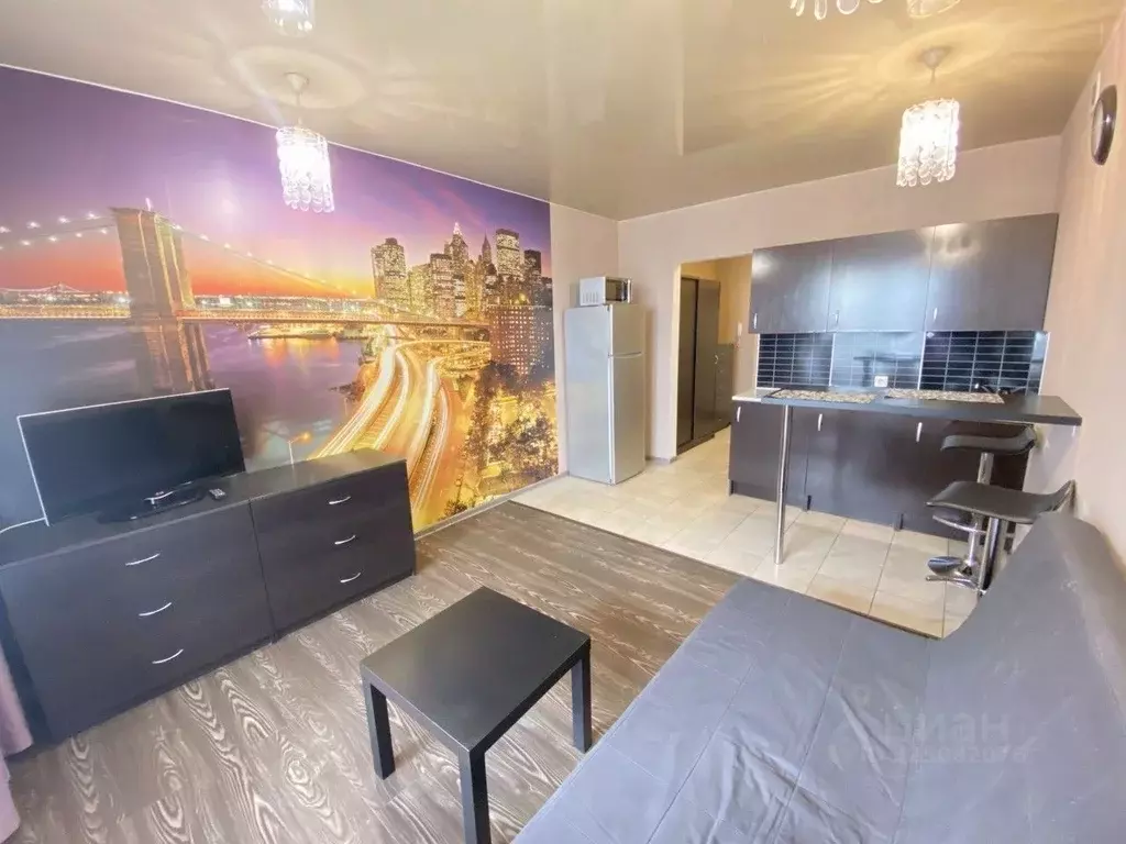 Студия Новосибирская область, Новосибирск ул. Котовского, 3/2 (24.8 м) - Фото 1