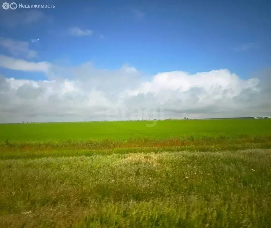 Участок в Сакский район, село Крайнее (54 м) - Фото 2