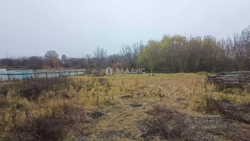 Участок в Белгородская область, Строитель Яковлевский городской округ, ... - Фото 2