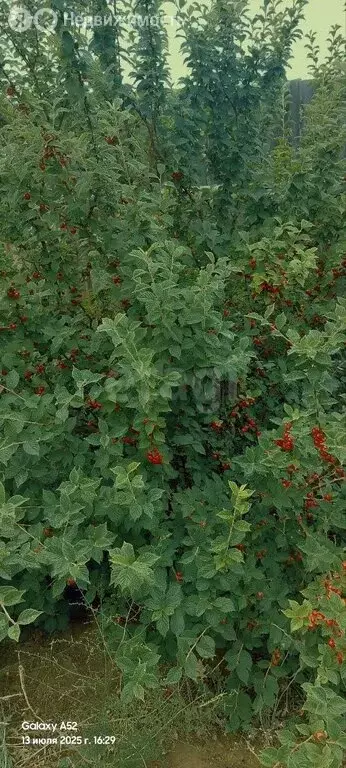 Дом в Иволгинский район, сельское поселение Нижнеиволгинское, ДНТ ... - Фото 0