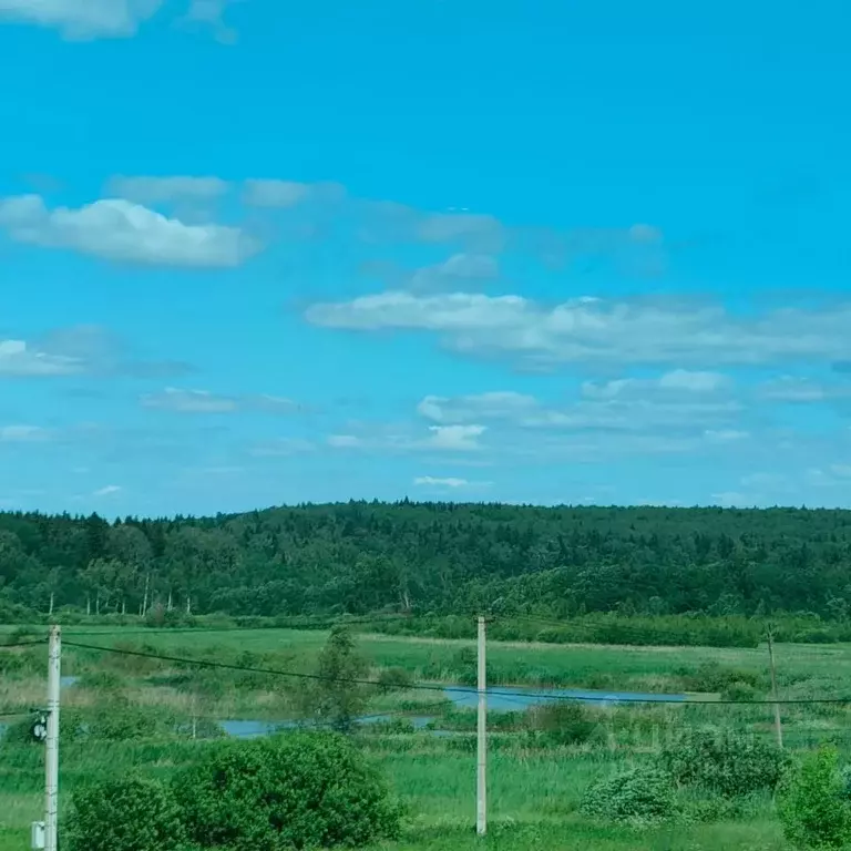 Участок в Московская область, Солнечногорск ул. Соловьиная (10.0 сот.) - Фото 0