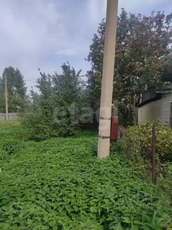 Участок в Башкортостан, Кармаскалинский район, Подлубовский сельсовет, ... - Фото 1