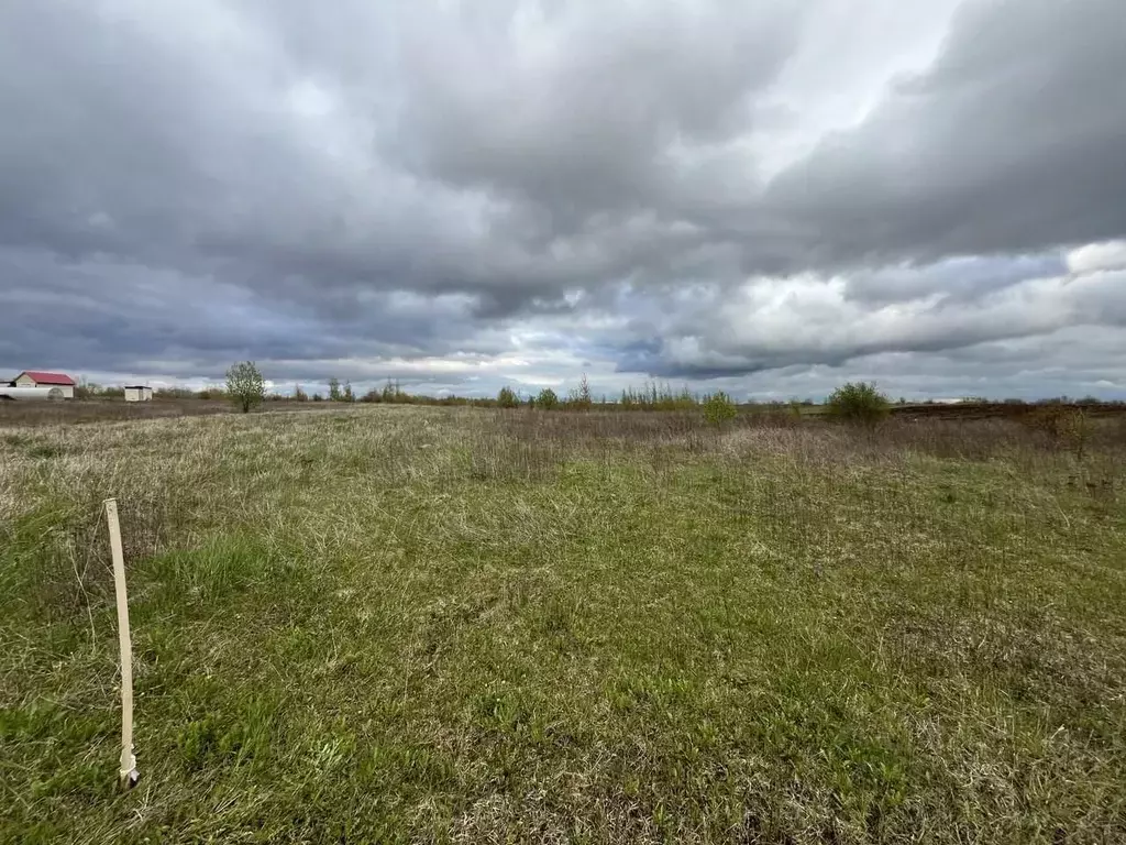 Участок в Новгородская область, Шимское городское поселение, д. ... - Фото 0