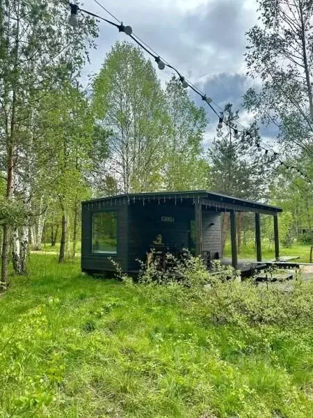 Дом в Рязанская область, Клепиковский муниципальный округ, д. ... - Фото 1