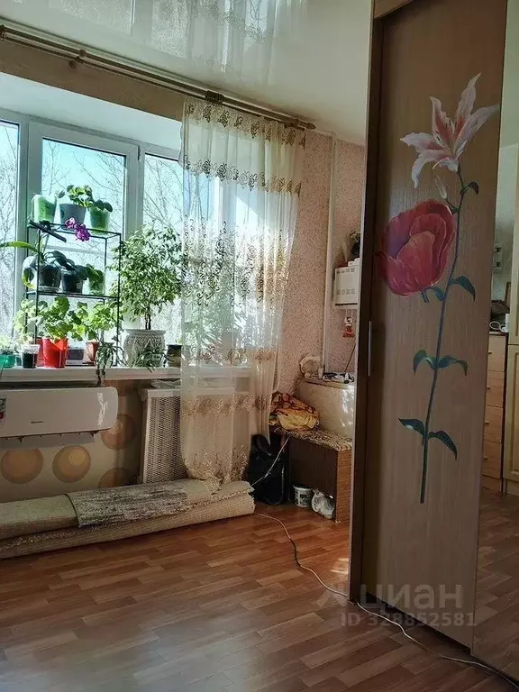 Студия Московская область, Пушкино Дзержинец мкр, 30 (25.0 м) - Фото 2