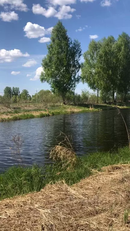 Участок в Новосибирская область, Новосибирский район, Кудряшовский ... - Фото 0