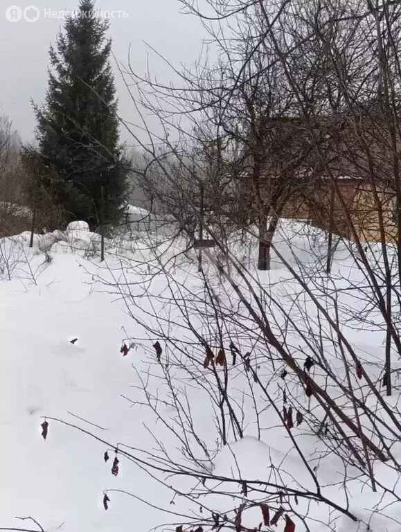 Участок в Калуга, садоводческое некоммерческое товарищество Ласточка, ... - Фото 1