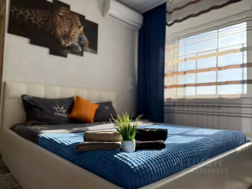 1-к кв. Челябинская область, Троицк Сибирская ул., 21 (32.0 м) - Фото 1