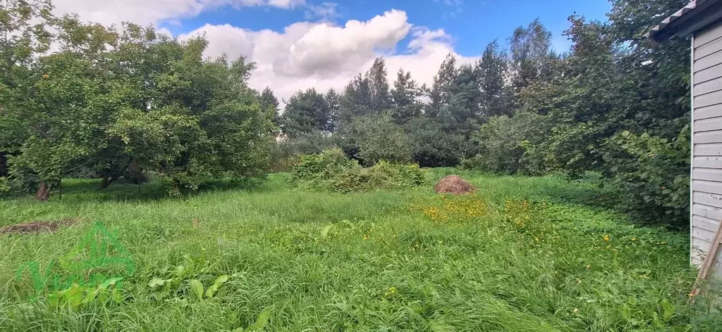 Участок в Московская область, Ступино городской округ, Благовское СНТ ... - Фото 1