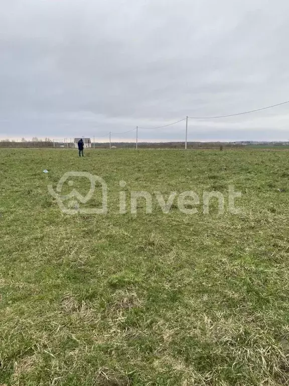 участок в калининградская область, гурьевский муниципальный округ, . - Фото 1