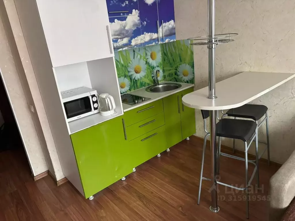 Студия Новосибирская область, Новосибирск Стартовая ул., 1 (28.0 м) - Фото 0